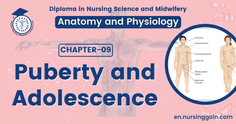 Puberty and Adolescence | CHAPTER 9 | Anatomy and Physiology