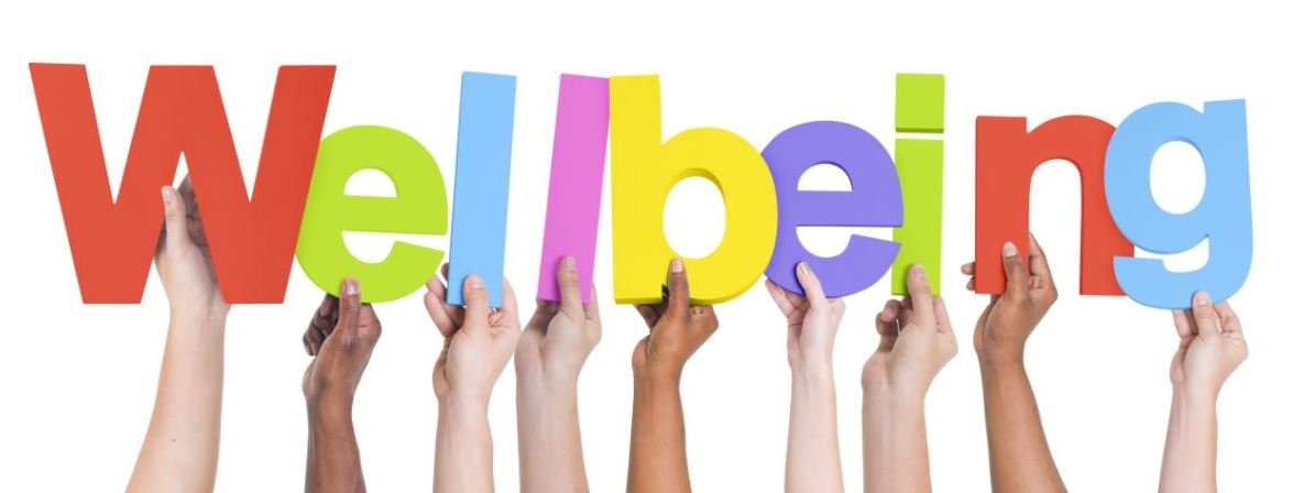 Well being | CHAPTER 1 | Community Health Nursing