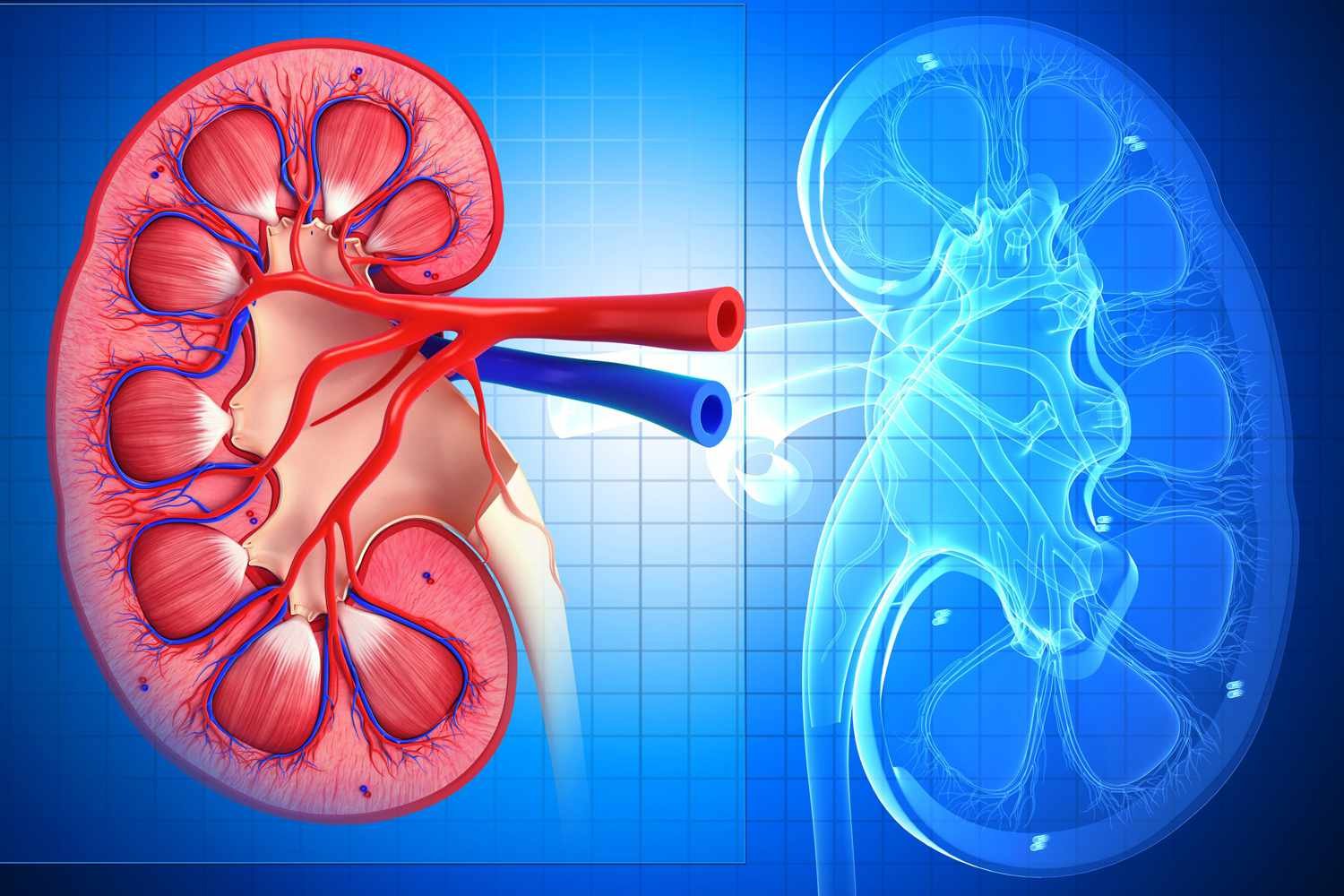 Renal Failure | Chapter 7 | Medical And Surgical Nursing