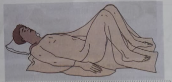 Anatomical position and some common patient position | CHAPTER 1 | Anatomy and physiology