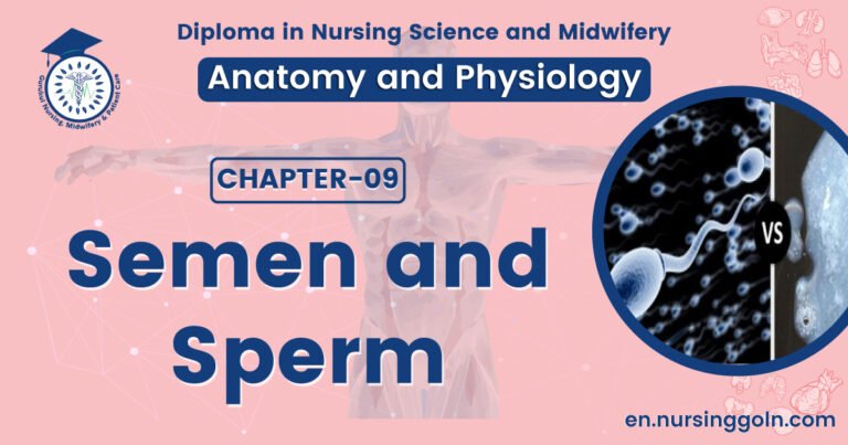 Semen and sperm | CHAPTER 9 | Anatomy and Physiology