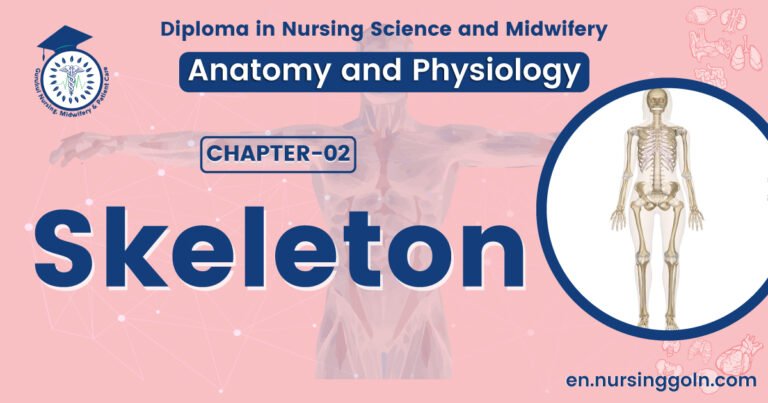 Concept of Skeleton | CHAPTER 2 | Anatomy and physiology
