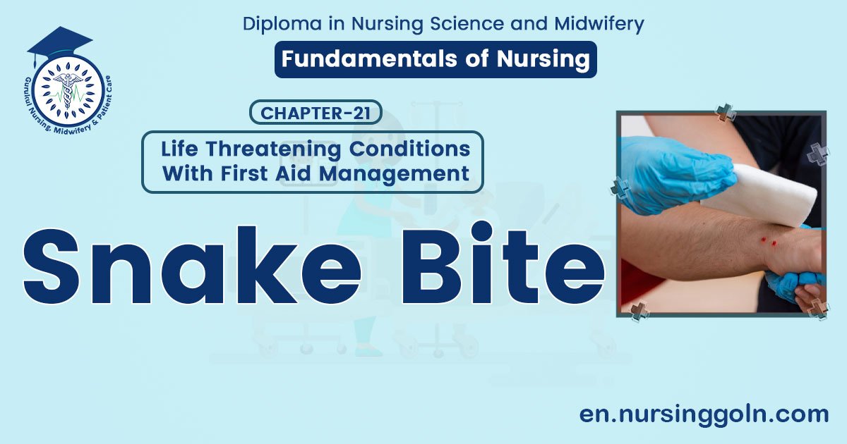 Snake bite | CHAPTER 21 | Fundamentals of Nursing