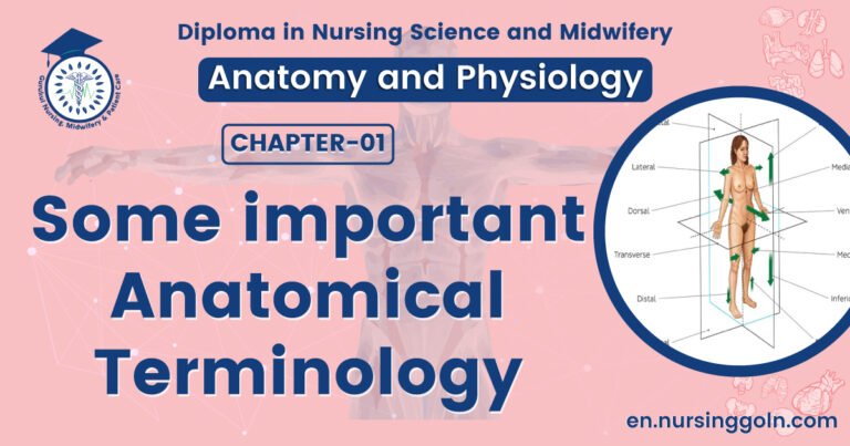 Some important Anatomical terminology | CHAPTER 1 | Anatomy and physiology