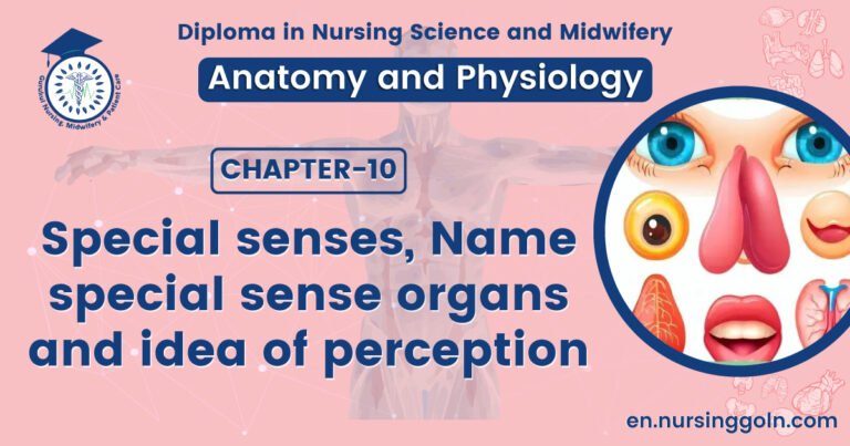 Special senses, Name special sense organs and idea of perception | CHAPTER 10 | Anatomy and Physiology