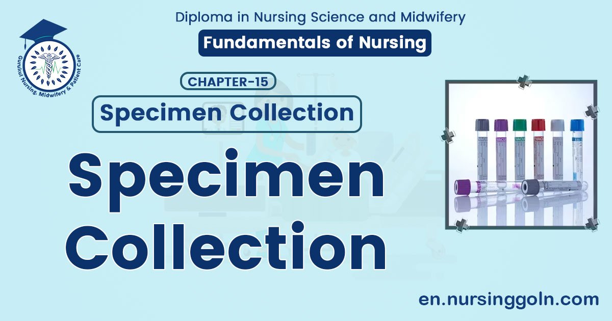 Specimen Collection | CHAPTER 15 | Fundamentals of Nursing