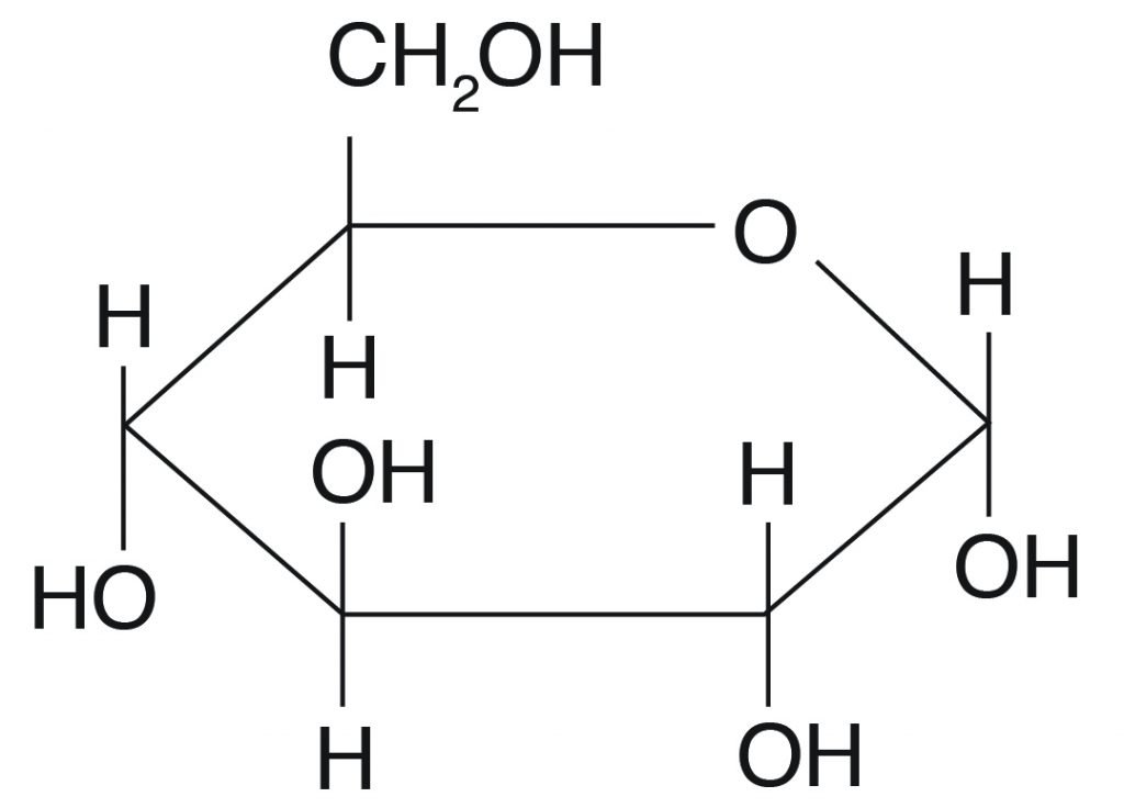 concept about carbohydrate