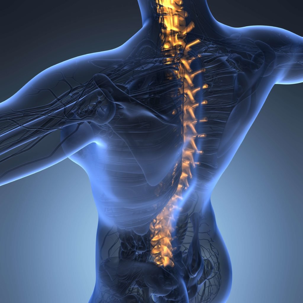 Musculoskeletal Examination | CHAPTER 3 | Orthopedic Nursing