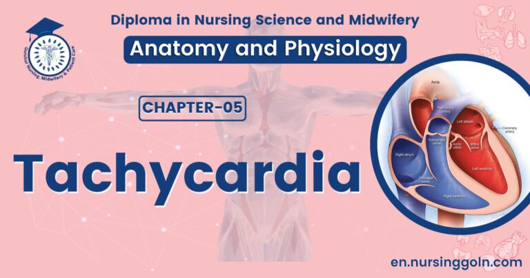 Concept about Tachycardia | CHAPTER 5 | Anatomy and Physiology