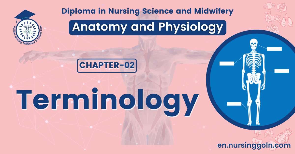 Concept about Terminology | CHAPTER 2 | Anatomy and Physiology