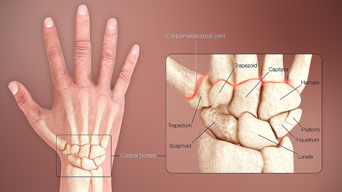 Musculoskeletal Examination | CHAPTER 3 | Orthopedic Nursing
