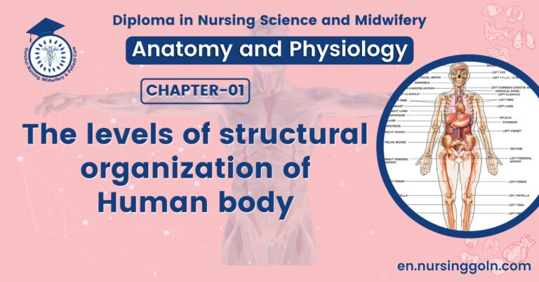The levels of structural organization of Human body | CHAPTER 1 | Anatomy and physiology