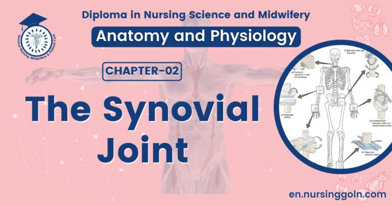 The synovial joint | CHAPTER 2 | Anatomy and Physiology