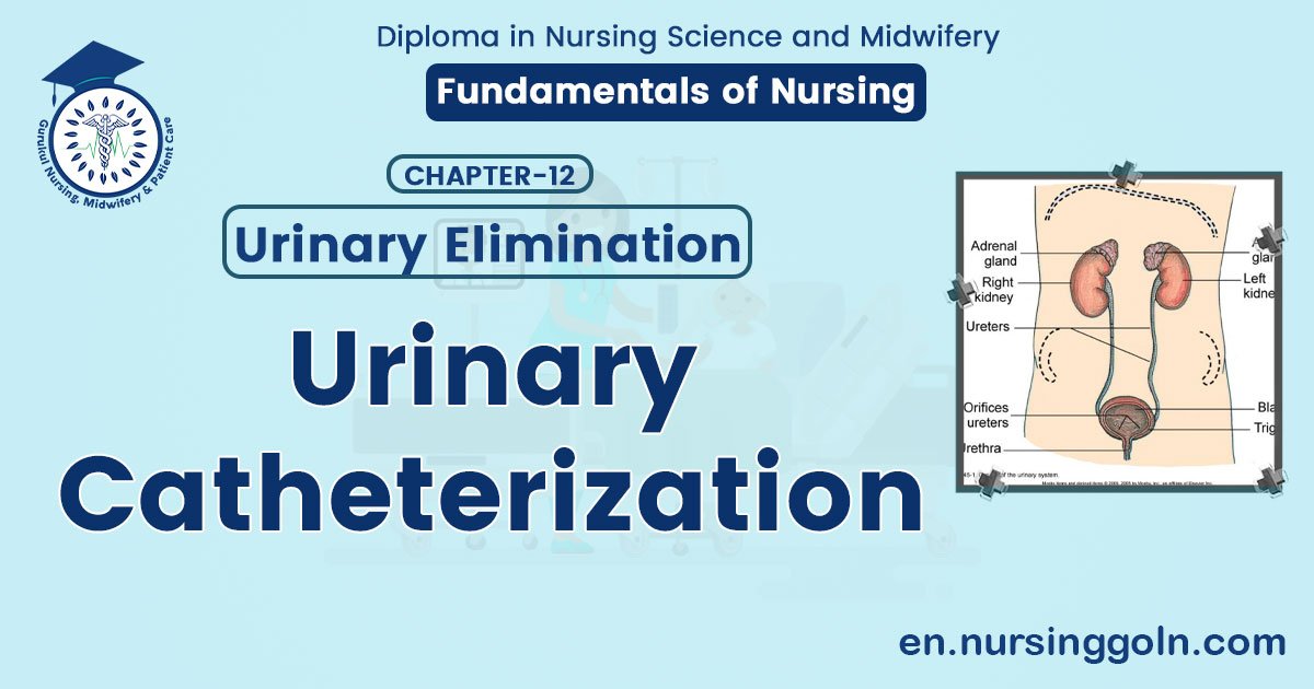 Urinary Catheterization | CHAPTER 12 | Fundamentals of Nursing