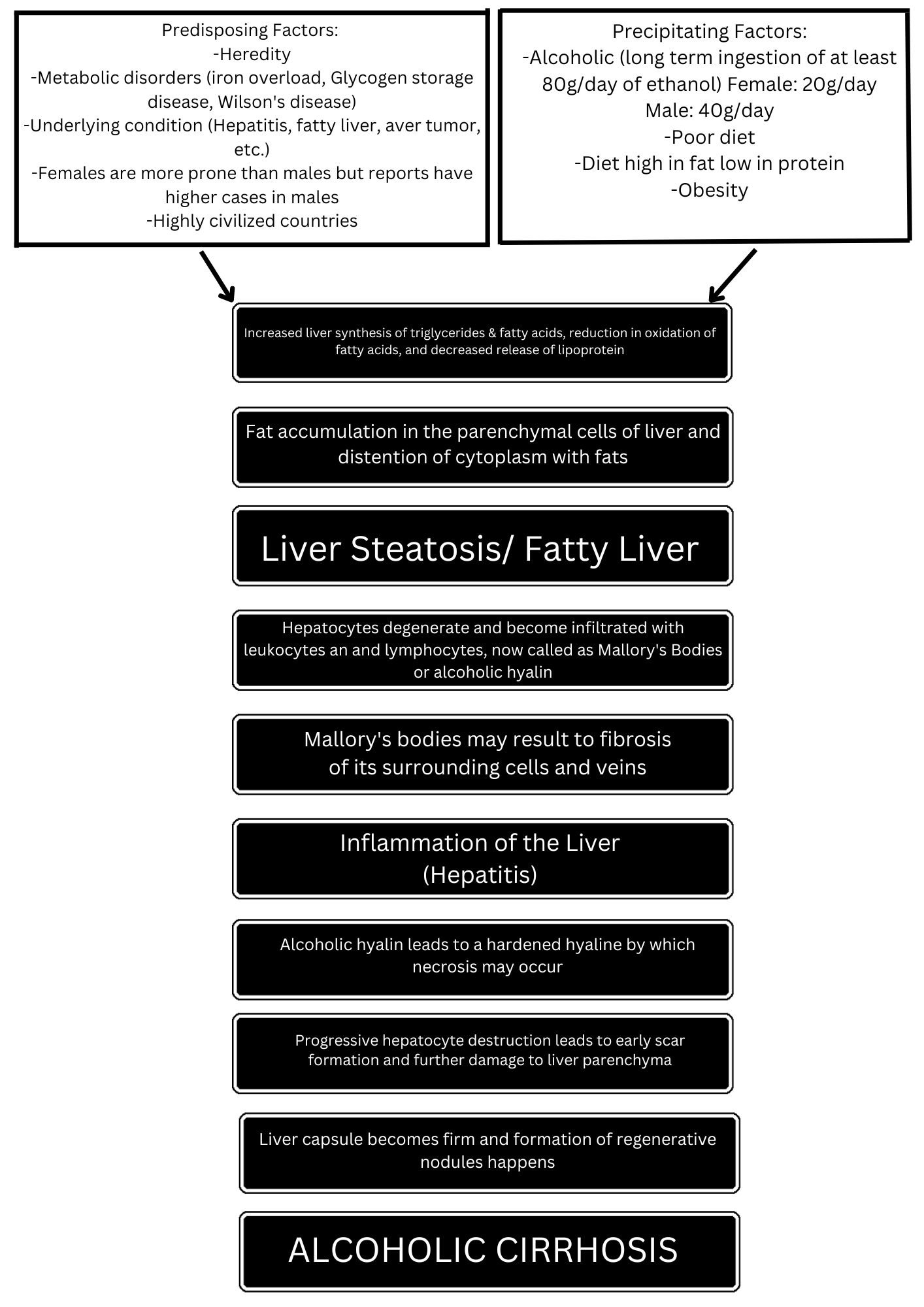 Pathophysiology of Liver Cirrhosis