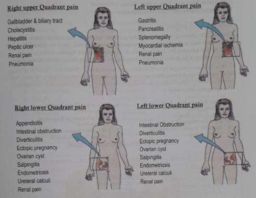 The body cavity | CHAPTER 1 | Anatomy and Physiology