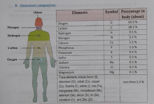 The composition of human body | CHAPTER 1 | Anatomy and physiology