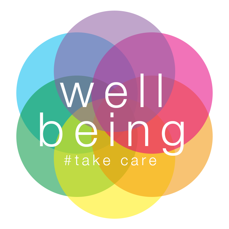 Well being | CHAPTER 1 | Community Health Nursing