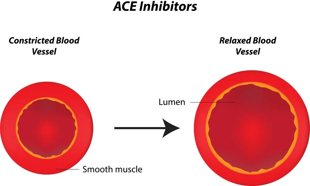 ACE Inhibitor | CHAPTER-10 | Pharmacology