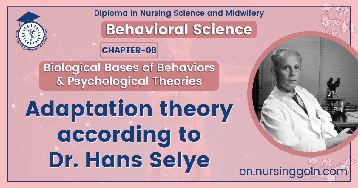 Adaptation theory according to Dr. Hans Selye