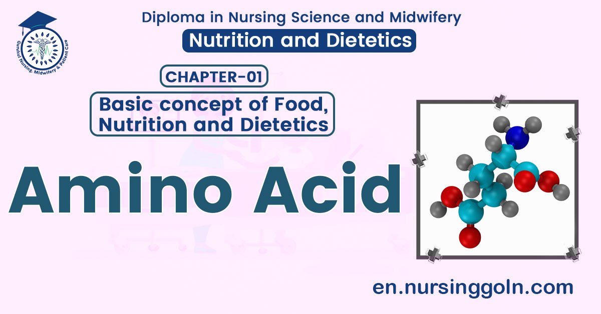 Concept about Amino Acid | CHAPTER 1 | Nutrition and Dietetics