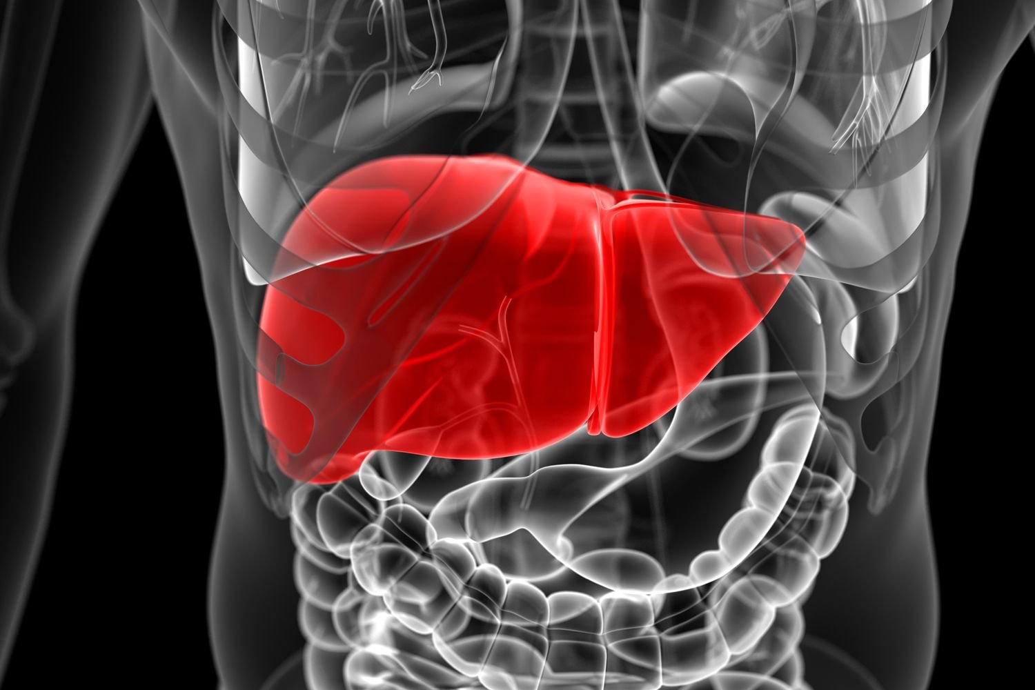 Concept about Bile | CHAPTER 3 | Anatomy and Physiology