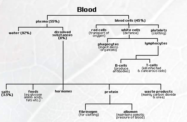 Definition of Blood Composition and functions of blood | CHAPTER 5 | Anatomy and Physiology
