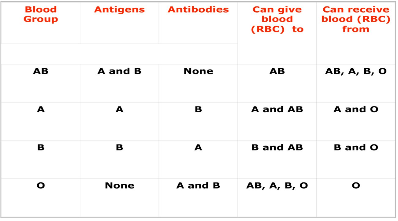 Cross matching and Effects of mismatched blood transfusion | CHAPTER 5 | Anatomy and Physiology