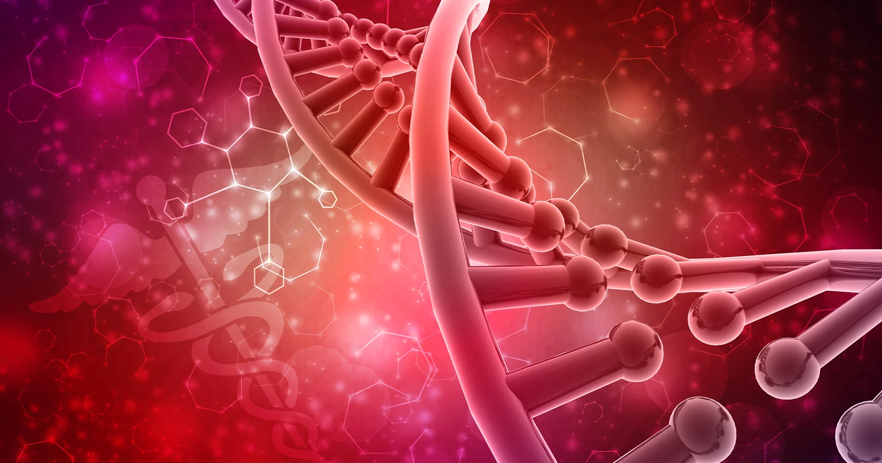 Concept about Hormone | CHAPTER 6 | Anatomy and Physiology