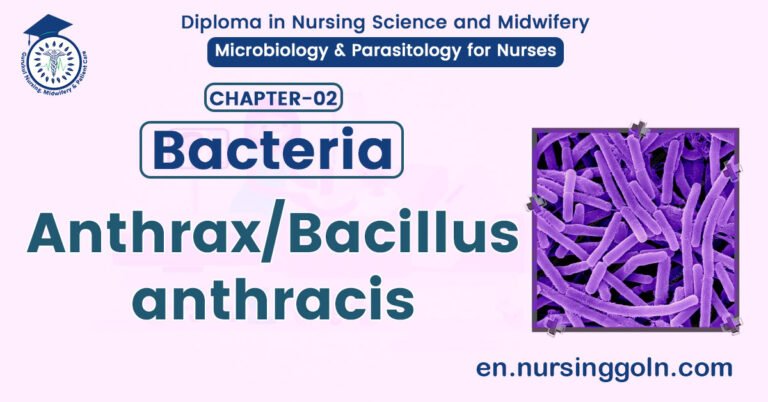 Anthrax/ Bacillus anthracis | CHAPTER 2 | Microbiology & Parasitology for Nurses
