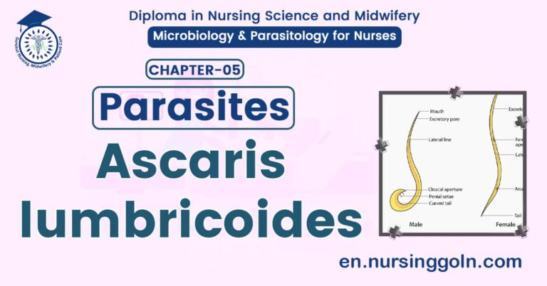 Ascaris Lumbricoides | CHAPTER 5 | Microbiology & Parasitology for Nurses