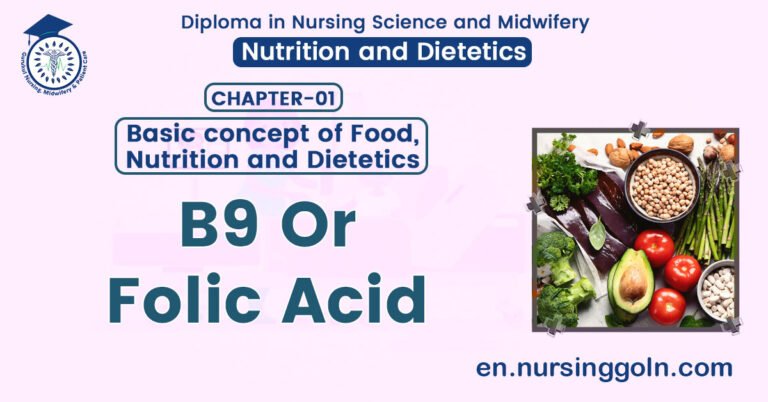 B9 Or Folic Acid