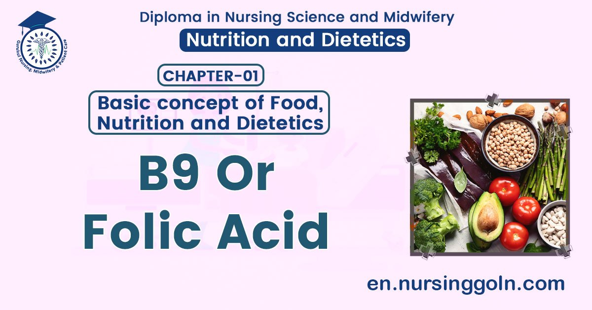 B9 Or Folic Acid