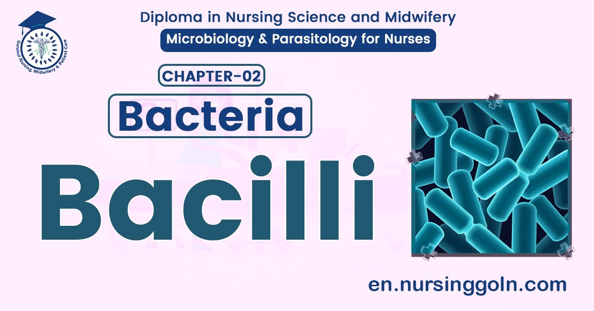 All about Bacilli | CHAPTER 2 | Microbiology & Parasitology for Nurses