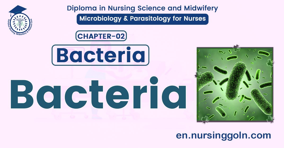 Concept about Bacteria | CHAPTER 2 | Microbiology & Parasitology for Nurses