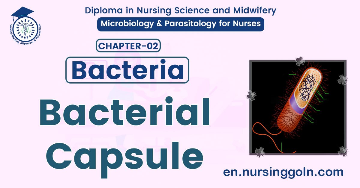 Capsule of Bacteria | CHAPTER 2 | Microbiology & Parasitology for Nurses