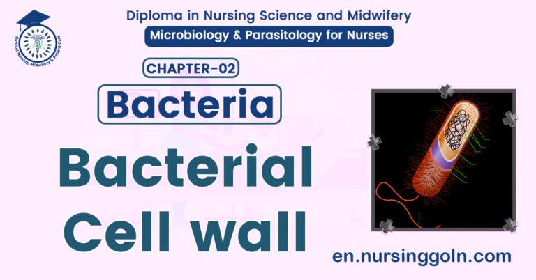 Bacterial Cell Wall | CHAPTER 2 | Microbiology & Parasitology for Nurses