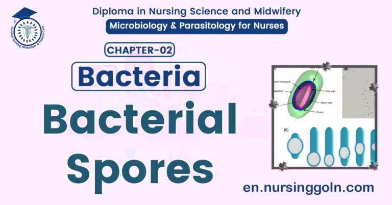 Bacterial Spore | CHAPTER 2 | Microbiology & Parasitology for Nurses