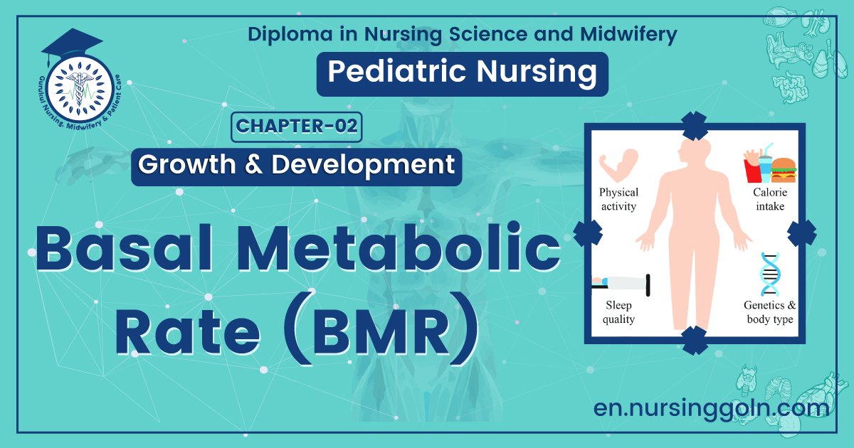 Basal Metabolic Rate (BMR) | CHAPTER 2 | Pediatric Nursing