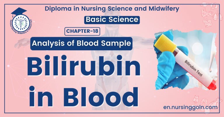 Bilirubin Test