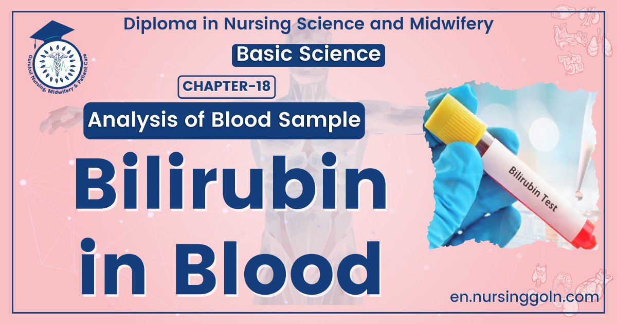 Bilirubin Test