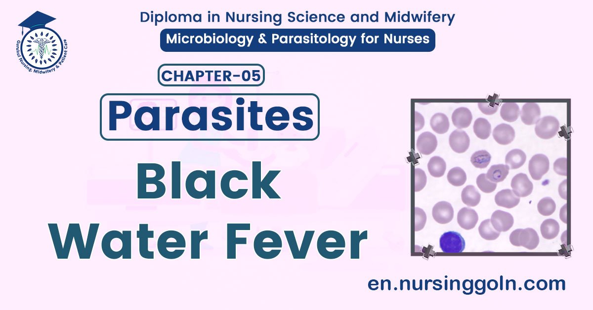 Black water fever | CHAPTER 5 | Microbiology & Parasitology for Nurses