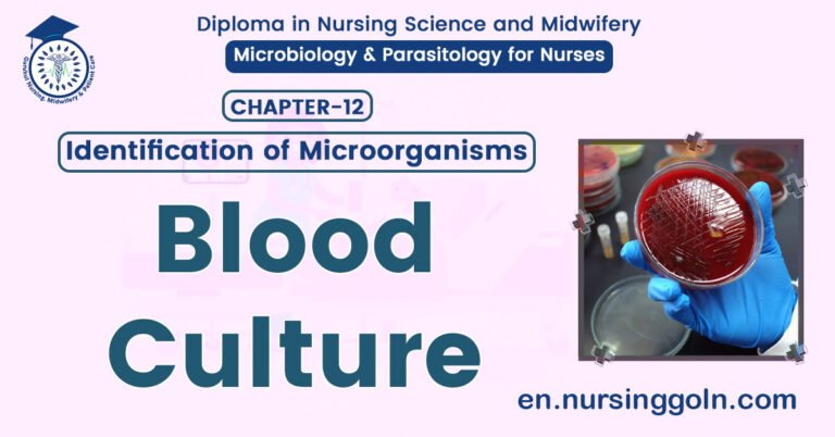 Concept about Blood Culture