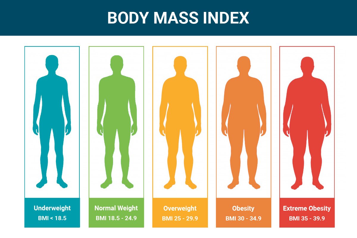 Concept about Body Mass Index