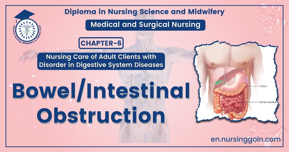 Bowel Intestinal Obstruction | CHAPTER-6 | Medical and Surgical Nursing