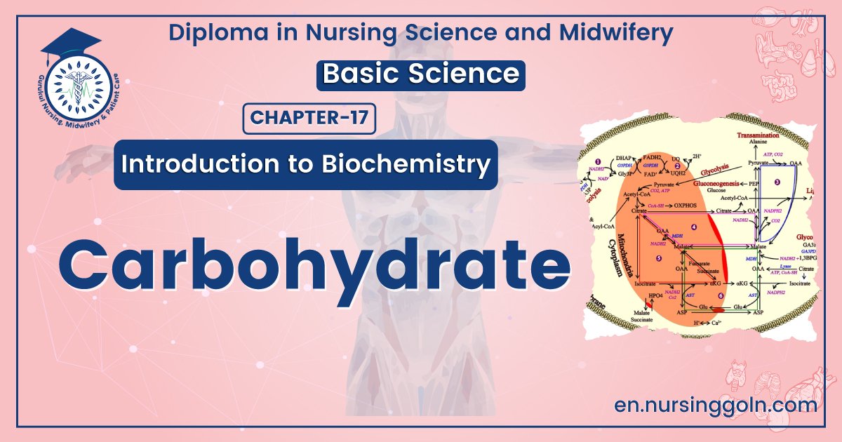Concept about Carbohydrate