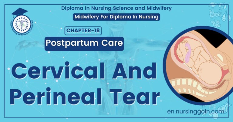 Cervical And Perineal Tear