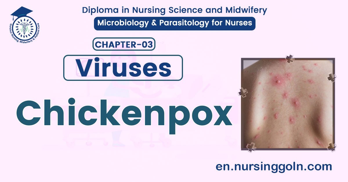 Chicken Pox | CHAPTER 3 | Microbiology & Parasitology for Nurses