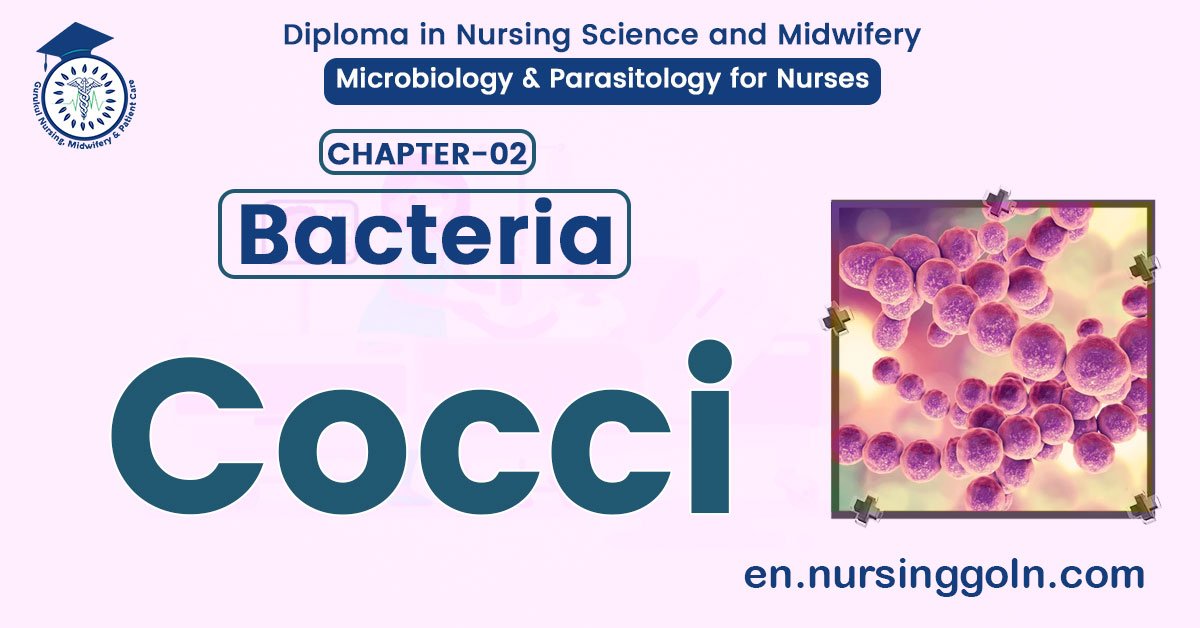 Definition of Cocci | CHAPTER 2 | Microbiology & Parasitology for Nurses