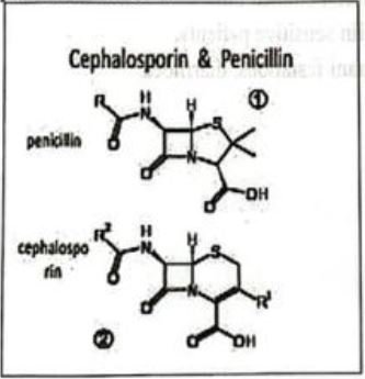 Concept of Cephalosporin | CHAPTER-4 | Pharmacology